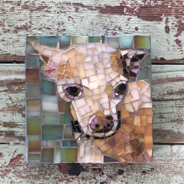DeniseMosaics-Pet Portraits Dog Before and After Gallery 4b