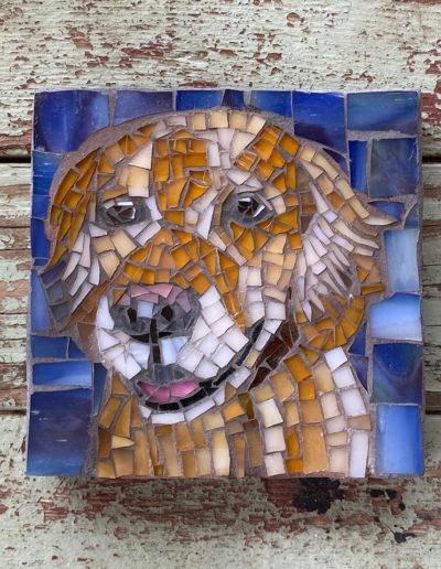 DeniseMosaics-Pet Portraits Dog Display Gallery 11