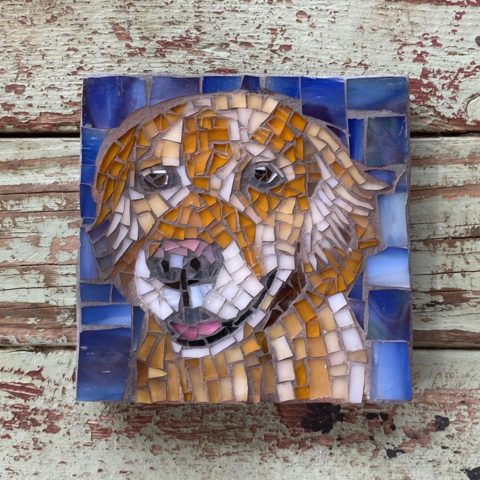 DeniseMosaics-Pet Portraits Dog Display Gallery 11