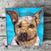 DeniseMosaics-Pet Portraits Dog Display Gallery 15