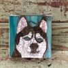DeniseMosaics-Pet Portraits Dog Display Gallery 6