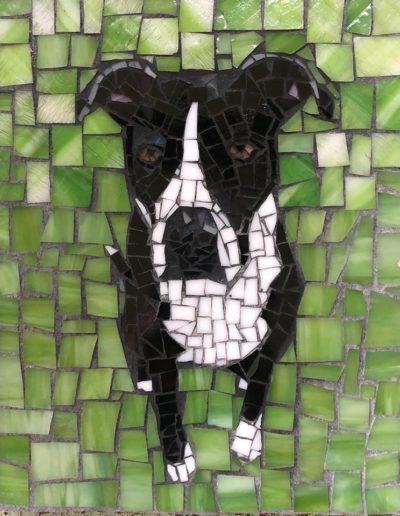 DeniseMosaics-Pet Portraits Dog Display Gallery 7