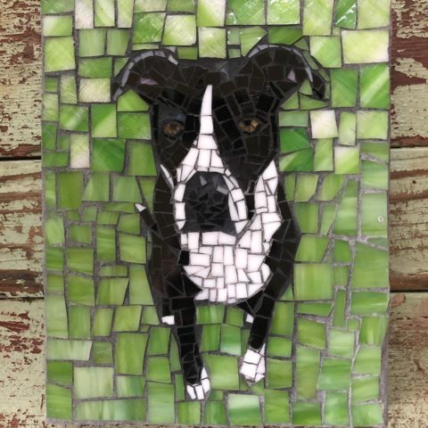DeniseMosaics-Pet Portraits Dog Display Gallery 7