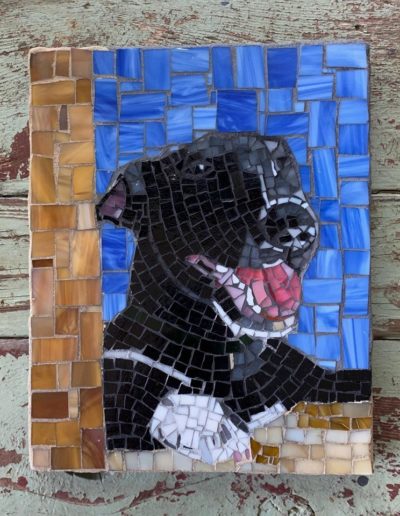 DeniseMosaics-Pet Portraits Dog Display Gallery 9