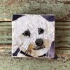 DeniseMosaics-Pet Portraits Dog Gallery 2