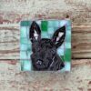 DeniseMosaics-Pet Portraits Dog Texas Pet Co Gallery 1