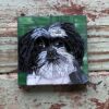 DeniseMosaics-Pet Portraits Dog Texas Pet Co Gallery 4