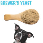 Flea Defender Flea and Tick Prevention Chewable Dog Treats Brewers Yeast 220x220