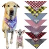 Texas Pet Co Dog Bandana Birthday Pup Model Dogs