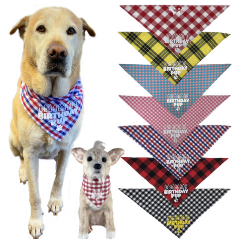 Texas Pet Co Dog Bandana Birthday Pup Model Dogs