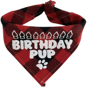 Texas Pet Co Dog Bandana Birthday Pup Neck Fold