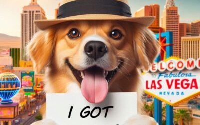 Top 10 Dog Jokes: Corona COVID-19 Edition