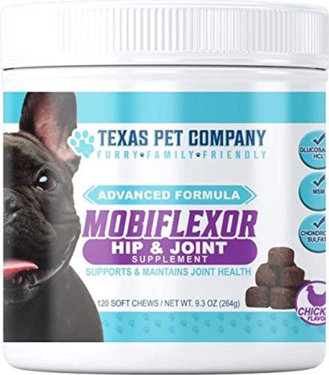 best joint supplement for dogs