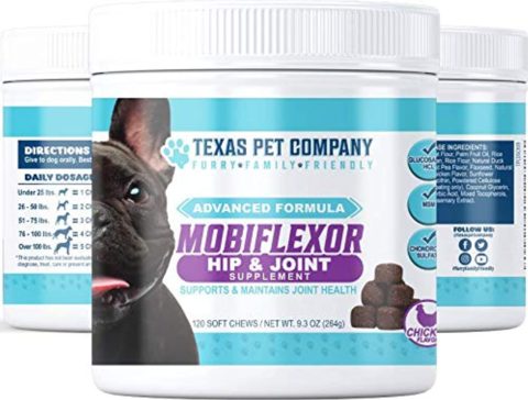dog joint supplement