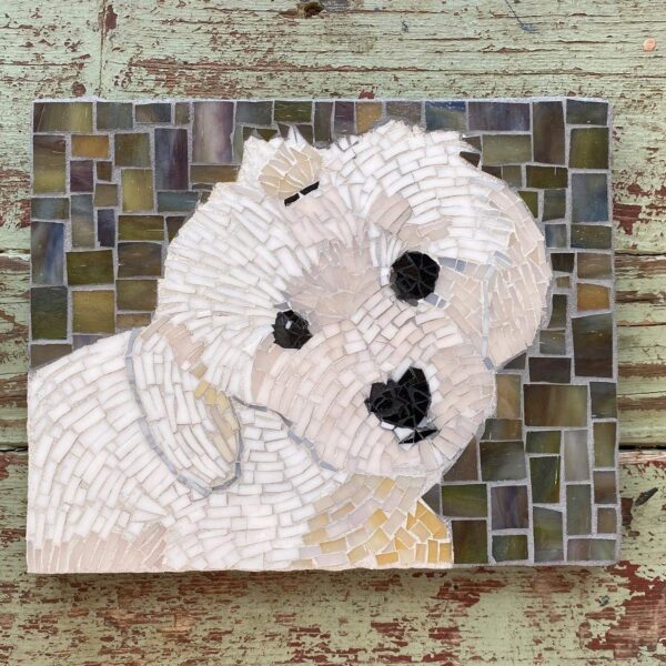 Texas Pet Co Pet Mosaic 8x10 2