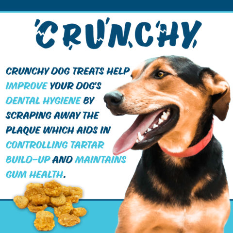 Texas Pet Company Chicken Jerky Bits Slides Dental 1500x1500