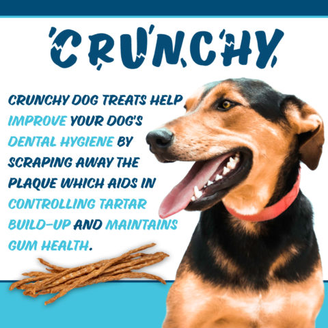 Texas Pet Company Chicken Jerky Sticks Slides Teeth