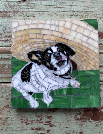 DeniseMosaics-Pet Portraits Dog Display Gallery 8x8 3