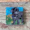 DeniseMosaics-Pet Portraits Dog Display Gallery 8x8 2