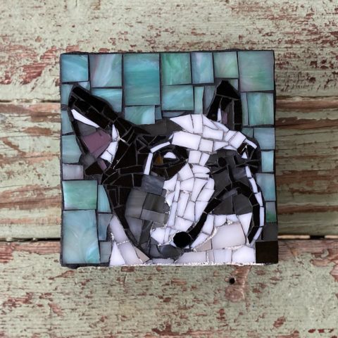 DeniseMosaics-Pet Portraits Dog Texas Pet Co Gallery