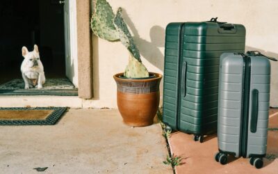 Essential Pet Travel Supplies: Your Guide to Worry-Free Journeys
