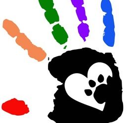 The Founding of a Thailand Dog Rescue – An Interview With Amandine Lecesne, Of Care For Dogs