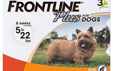 Side Effects of Frontline Plus for Dogs