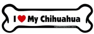 I love my chihuahua car magnet