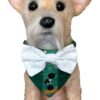 St Patricks Holiday Dog Bandana Suit Model