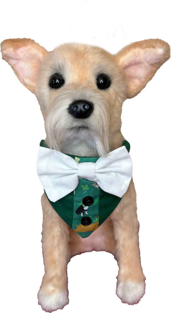 St Patricks Holiday Dog Bandana Suit Model