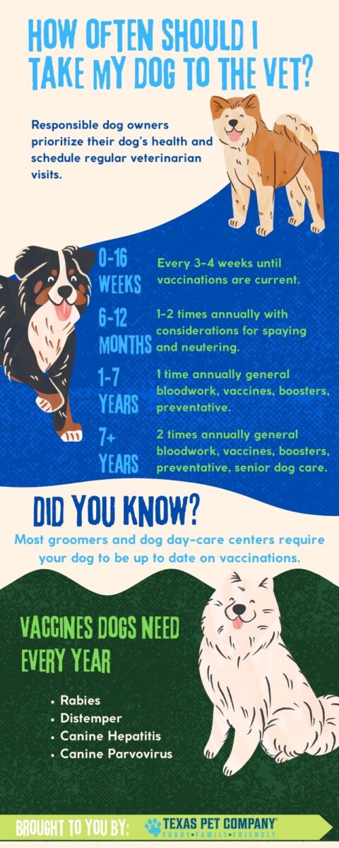 How Often Should I Take My Dog To The Vet? » Texas Pet Company