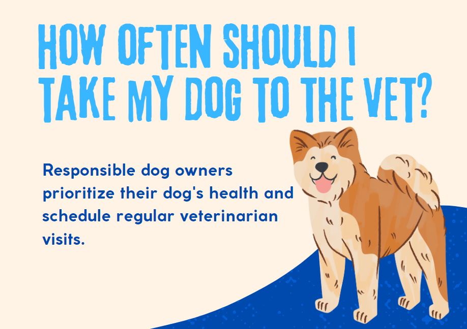 How often should I take my dog to the vet?