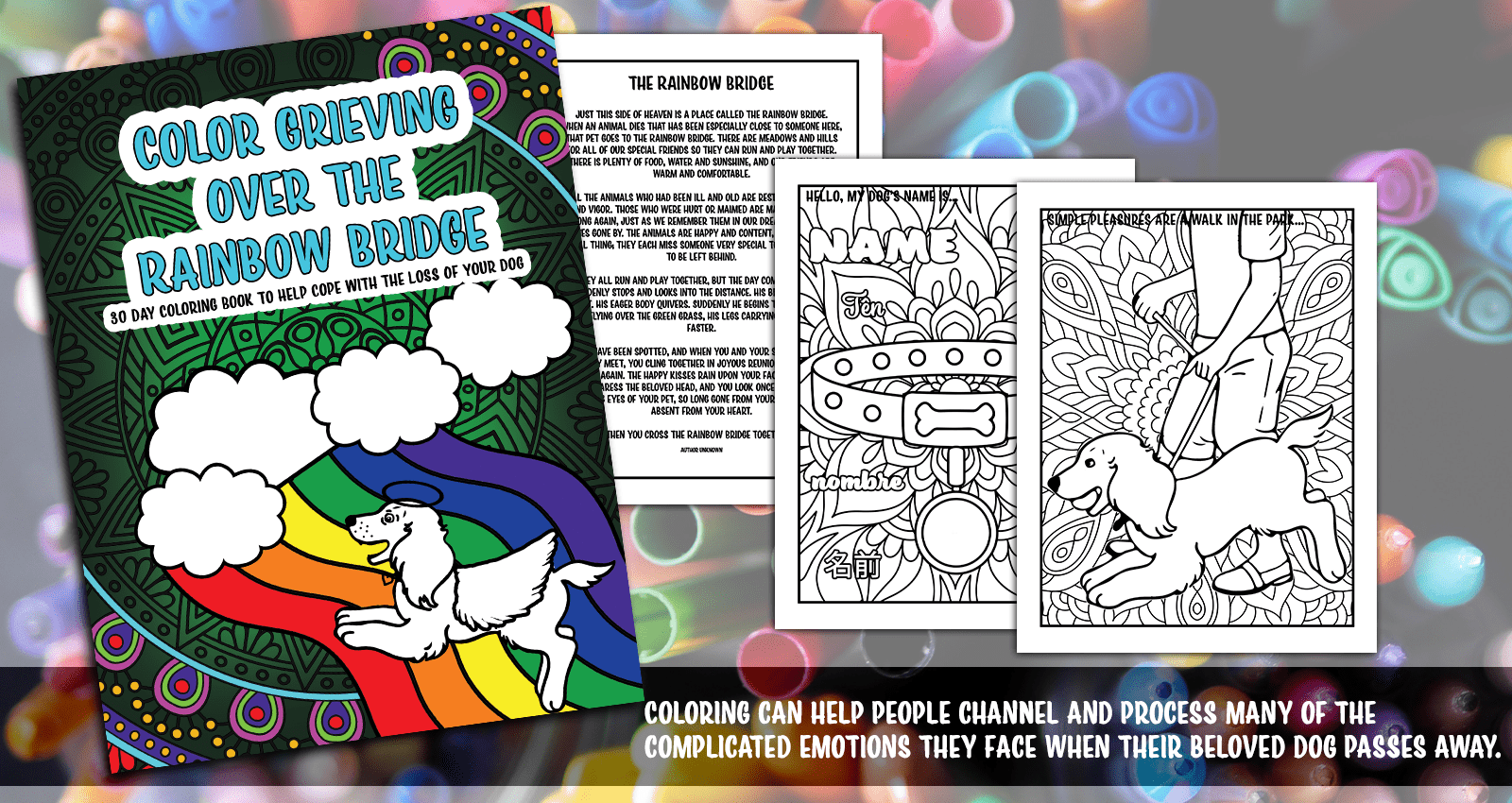 Dog Coloring Book Rainbow Bridge A+1600x850-header