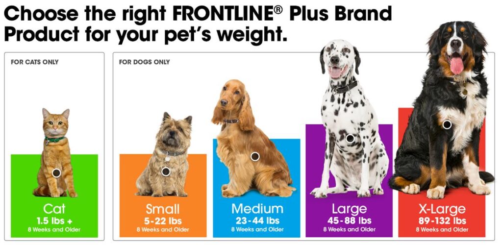 Side Effects of Frontline Plus for Dogs 