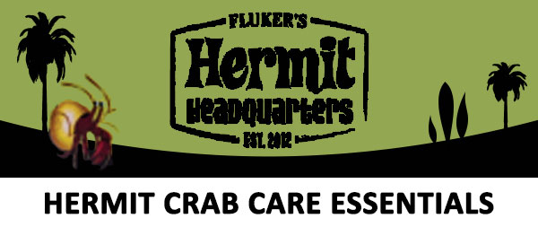 Hermit Crab Care Mites Cage Tank