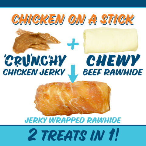 Large dog wrapped rawhide chicken