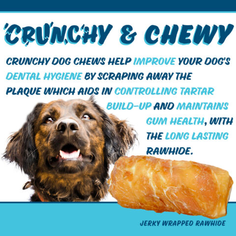 Chicken on a stick jumbo dog treats