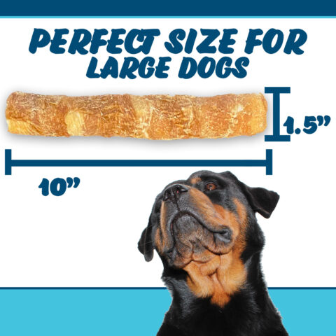 Chicken on a stick for big dogs