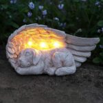 Dog Sympathy Gift