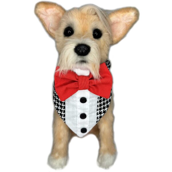 Dog Tuxedo Houndstooth Model