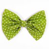 Dog Bowtie Polka Dot Light Green