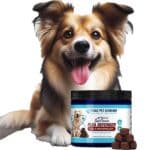 Totally Cool Pick-Up Lines For Dog Lovers Book