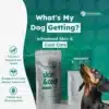 a dog looking up at a bag of skin & coat dog supplement