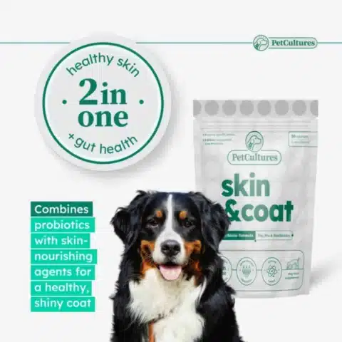 a dog sitting next to a bag of skin & coat dog supplement