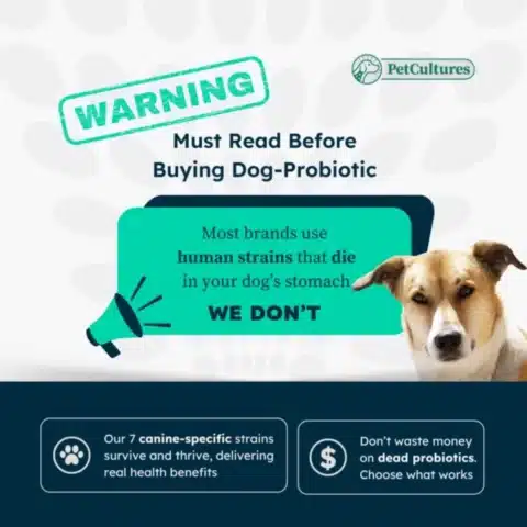 a dog and a megaphone skin & coat dog supplement