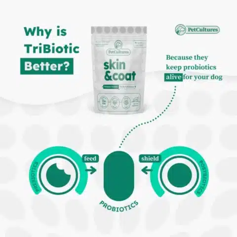 a bag of skin & coat dog supplement probiotics