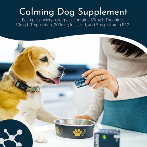 PetCultures-Calming-Features-2