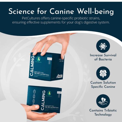 PetCultures-Calming-Features-3