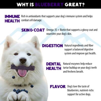 Flavored yak cheese chews dog treats blueberry