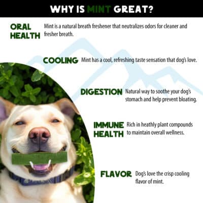 Flavored yak cheese chews dog treats mint